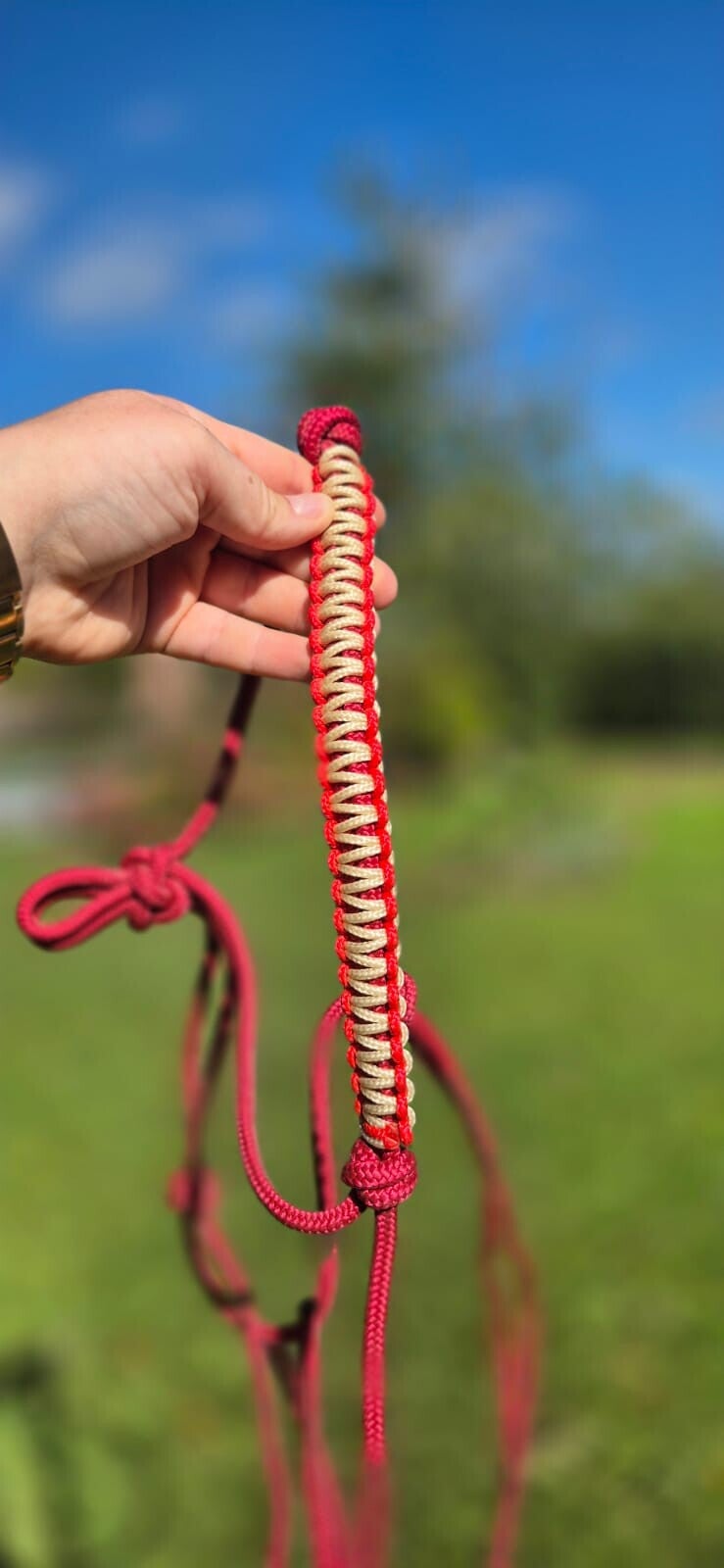 Licol FULL prêt à partir