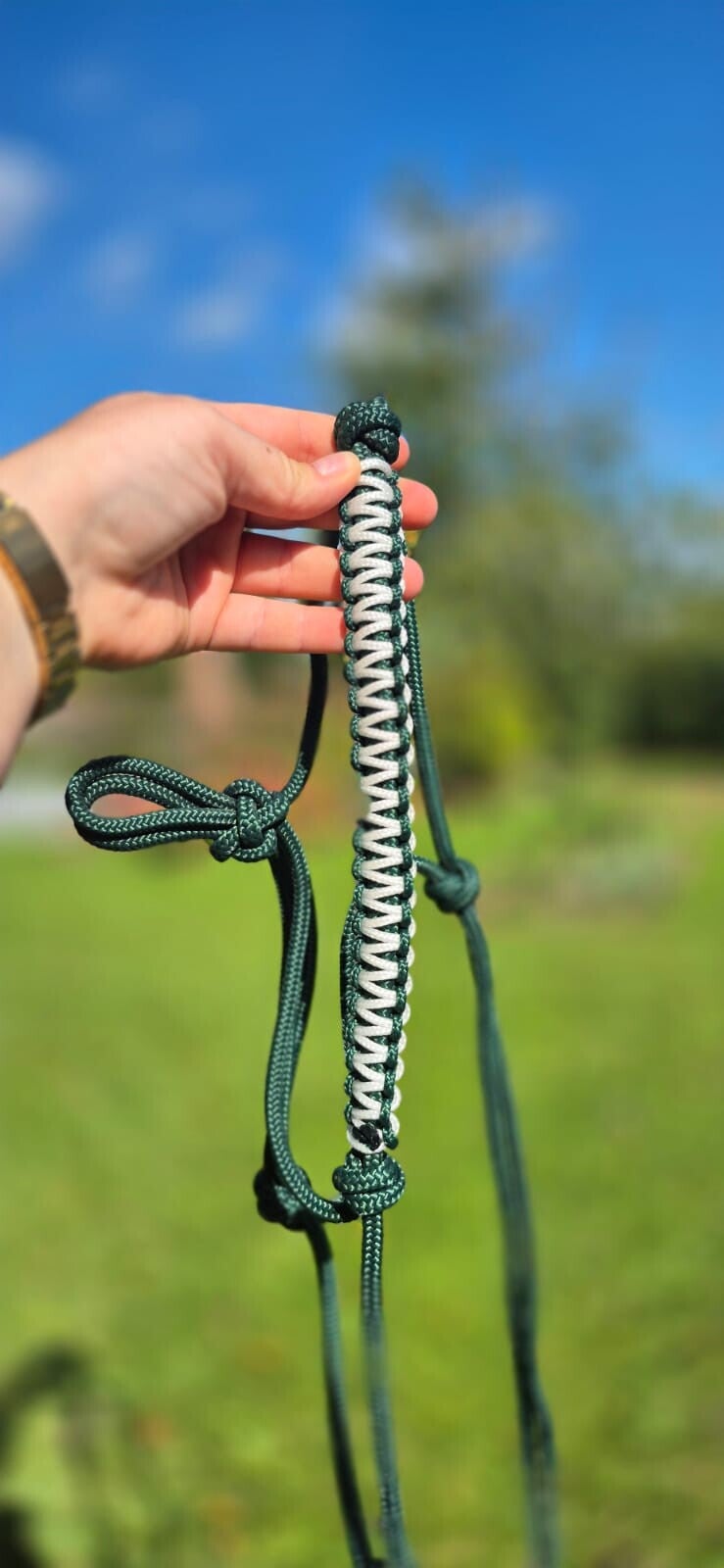 Licol FULL prêt à partir