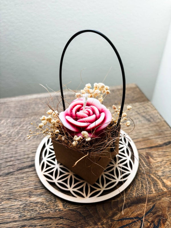 Fleur éternelle 🌷