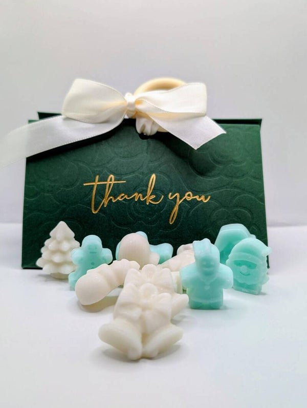 PERFUMADORES AROMÁTICOS  PARA ARMARIO O WAX PARA LOS QUEMADORES