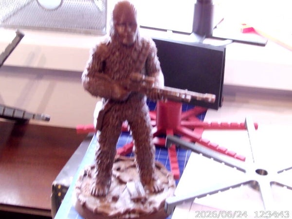 Chewy and Darth Vader