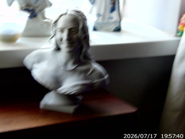 Personal bust