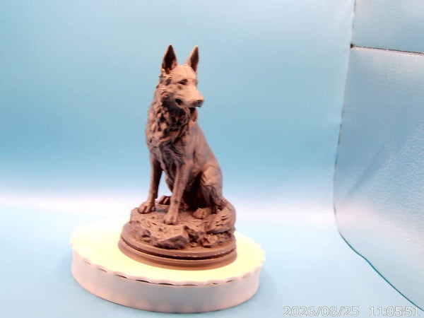 German shepeard