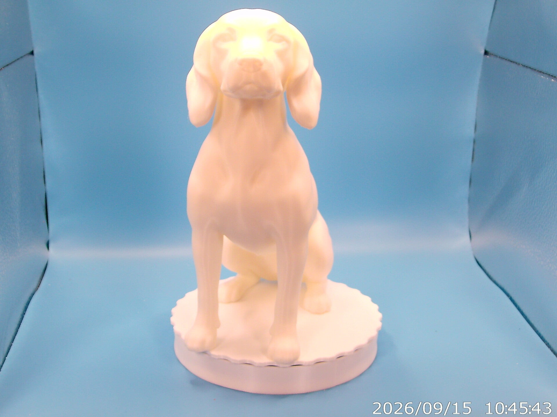 cocker spaniel ready for painting