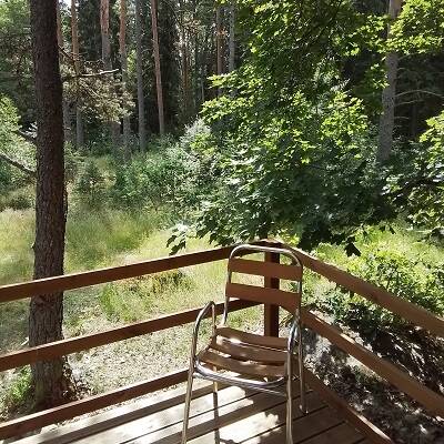 Zweedse blokhut met uitzicht op het bos