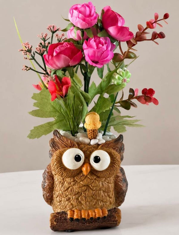 Succulents Owl Always Love Blooms