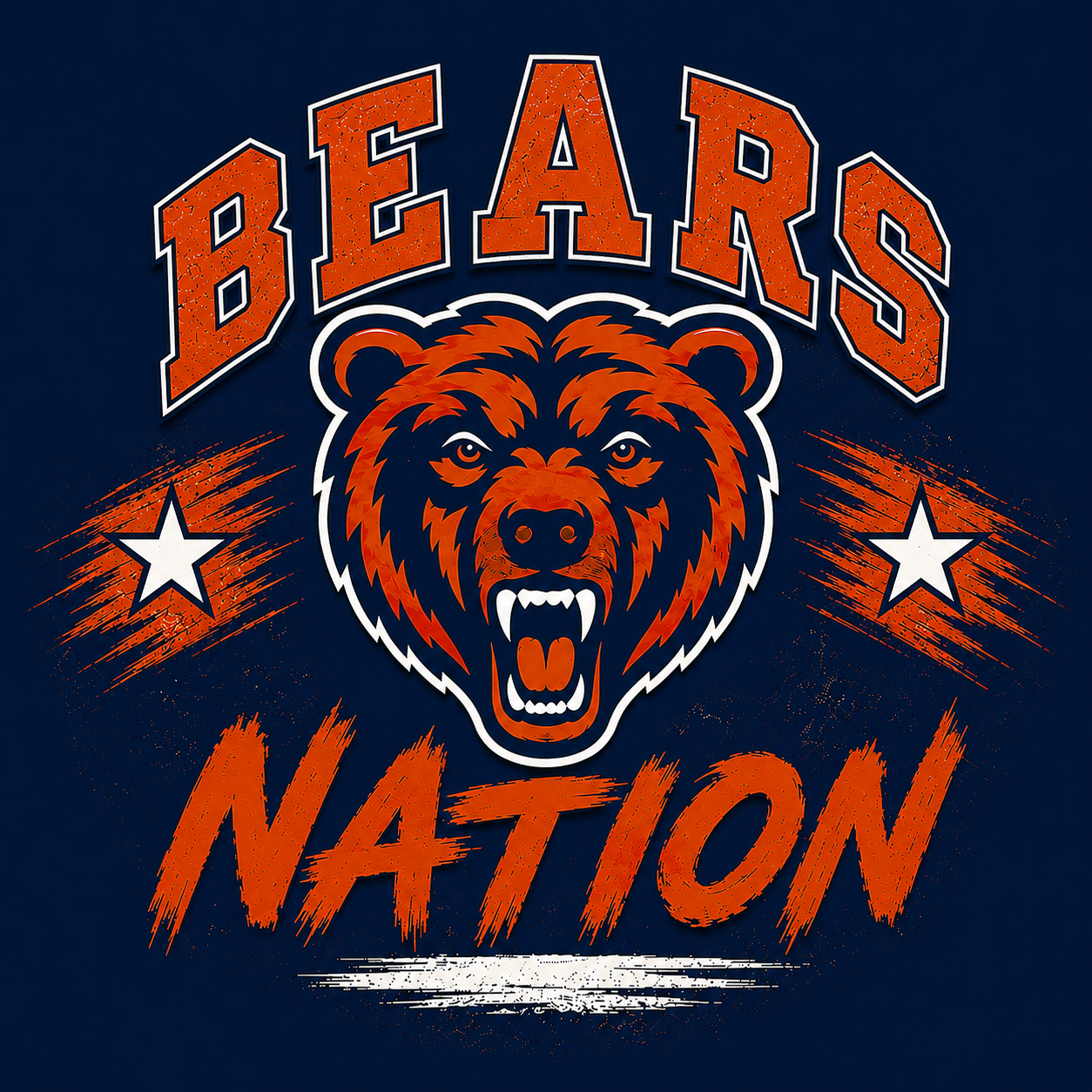 2D Sports NFL Signs (variety)