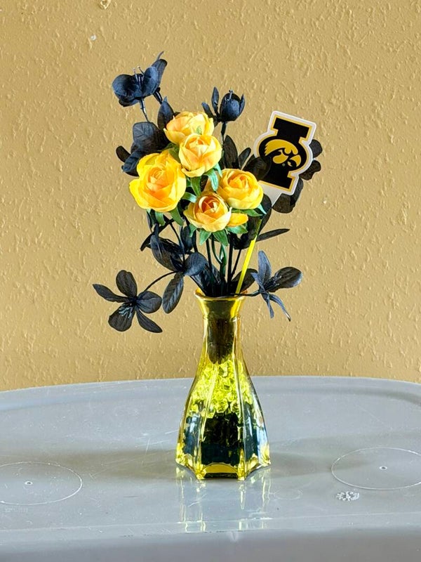 Hawkeye Golden Elegance  🖤💛