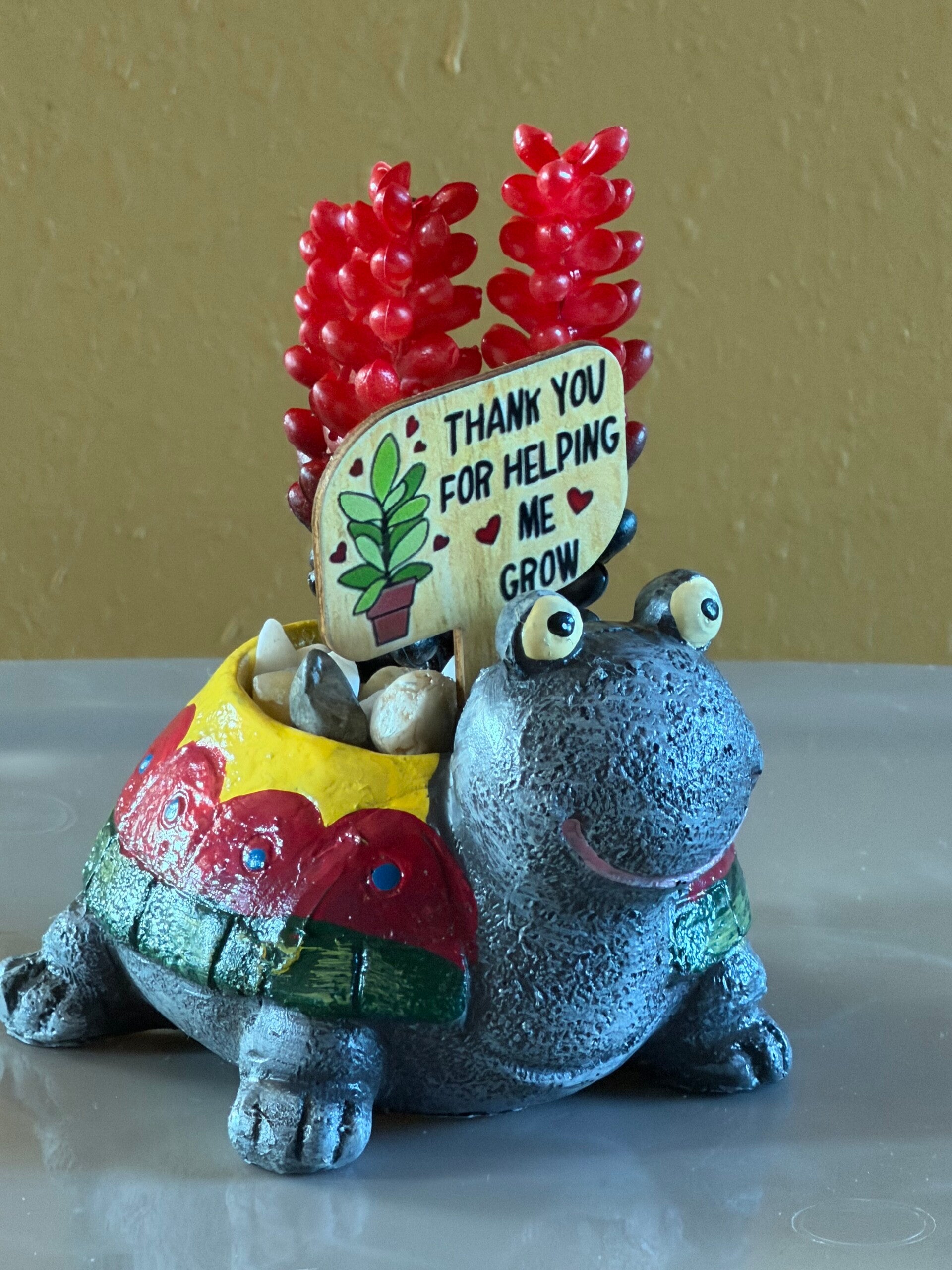 Succulents  “Thank you for helping me grow” 🐢