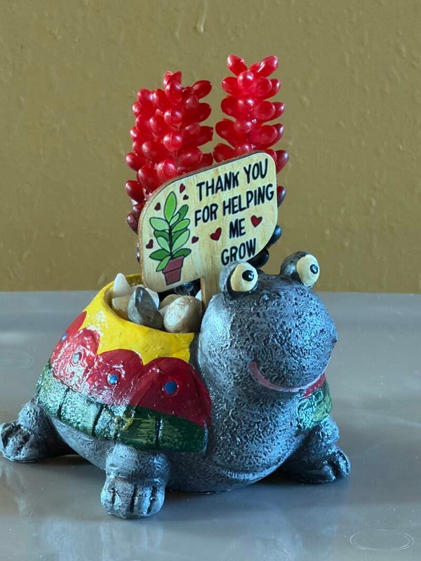 Succulents  “Thank you for helping me grow” 🐢