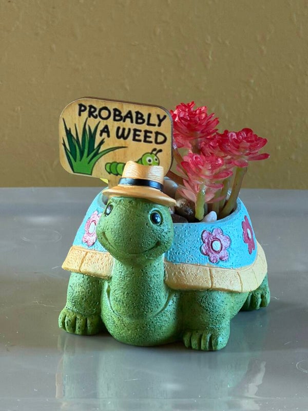 Succulents  “Probably a Weed” Turtle Planter 🐢