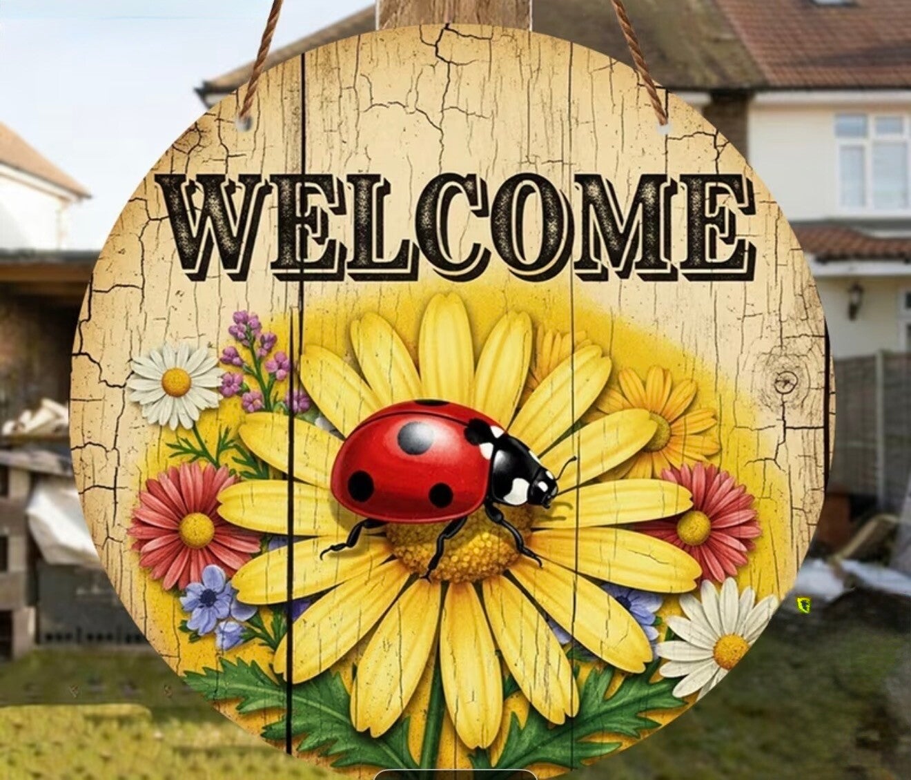 2D Wood Welcome Ladybug