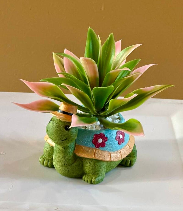 Succulents “ Tropical Retreat”