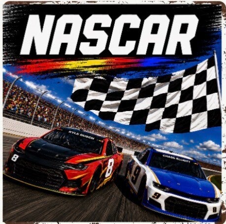 2D Sports NASCAR (variety)