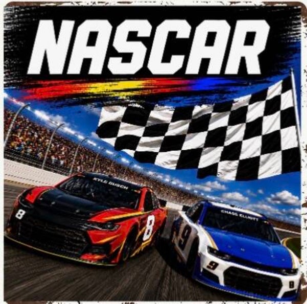 2D Sports NASCAR (variety)