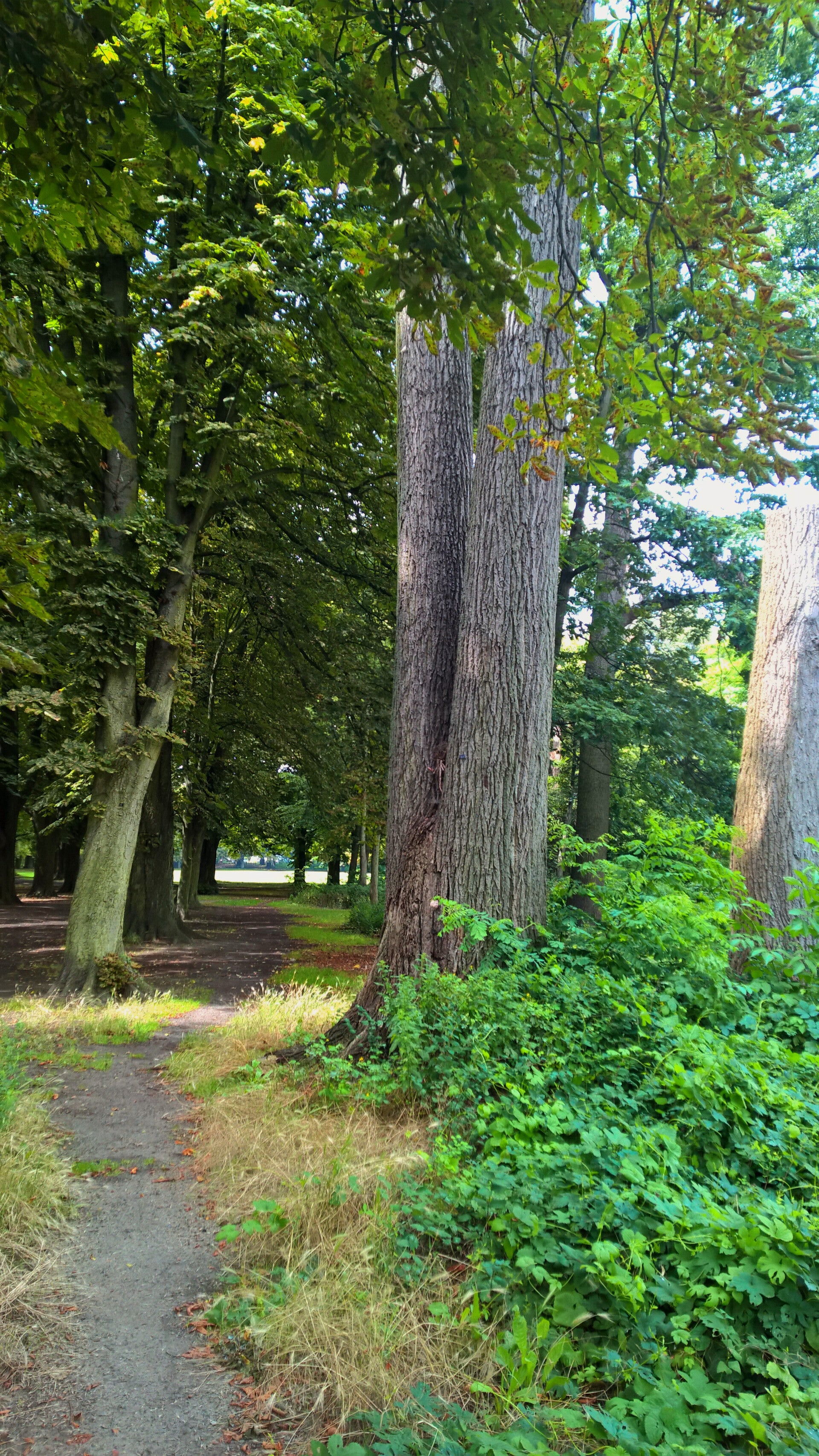 wp_20150721_13_48_44_pro__highres2.jpg