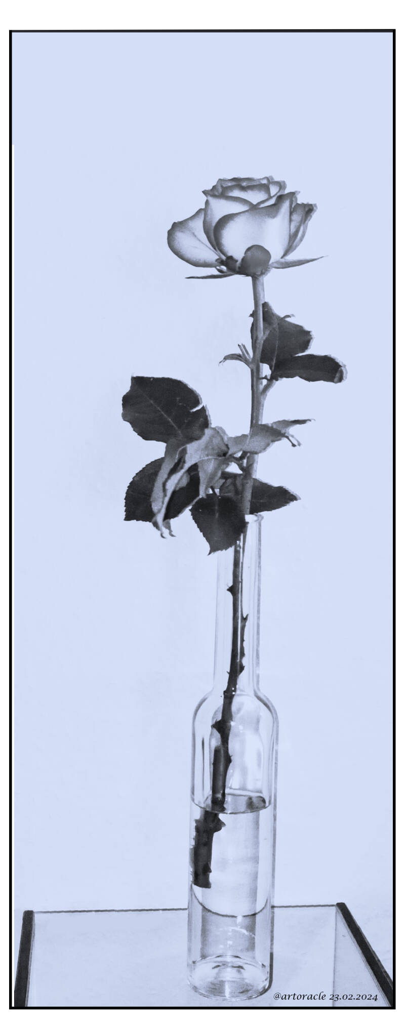 biggisblume-2-24022024-standard.jpg