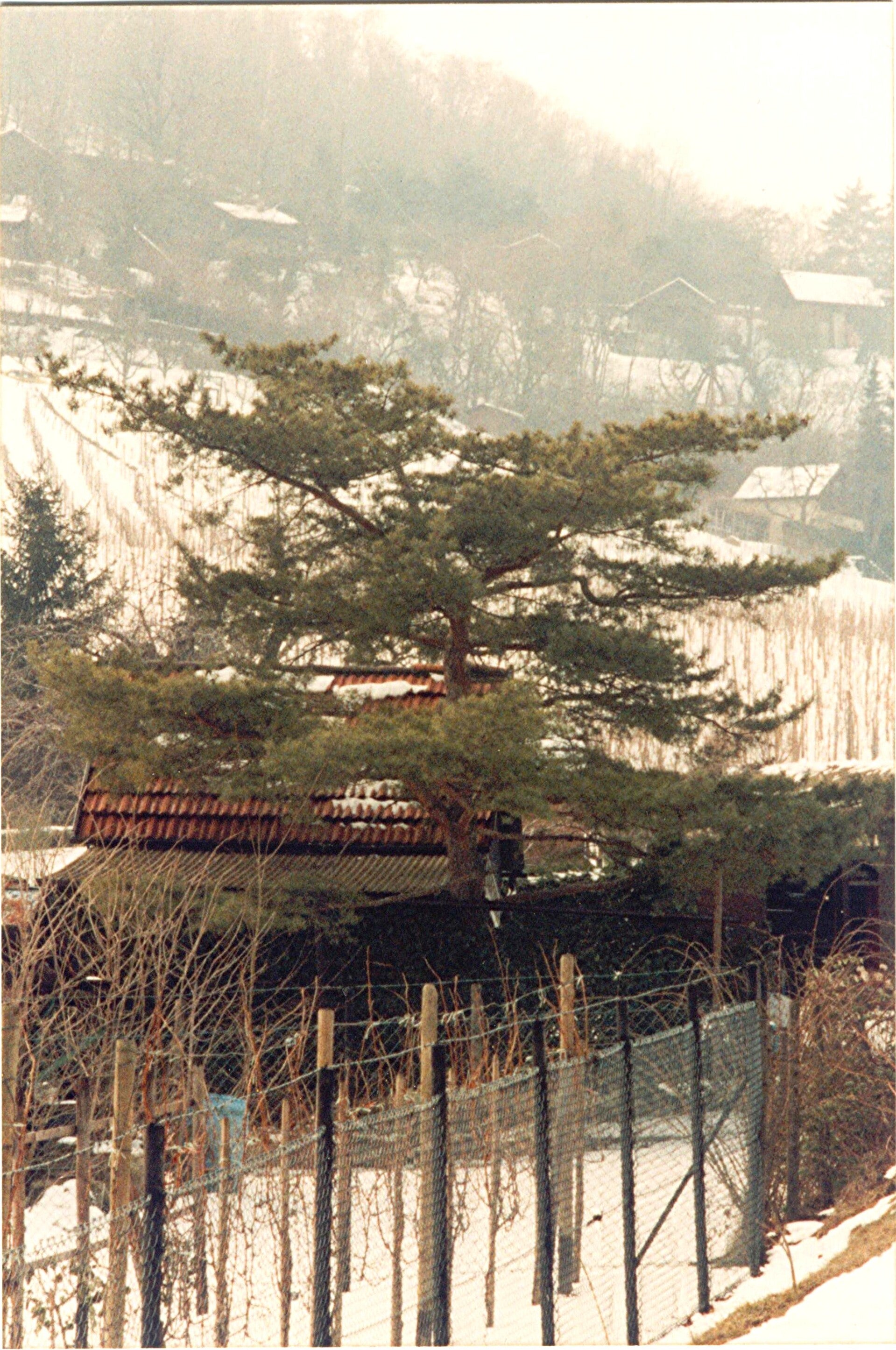 kalterwintertag-1.jpg