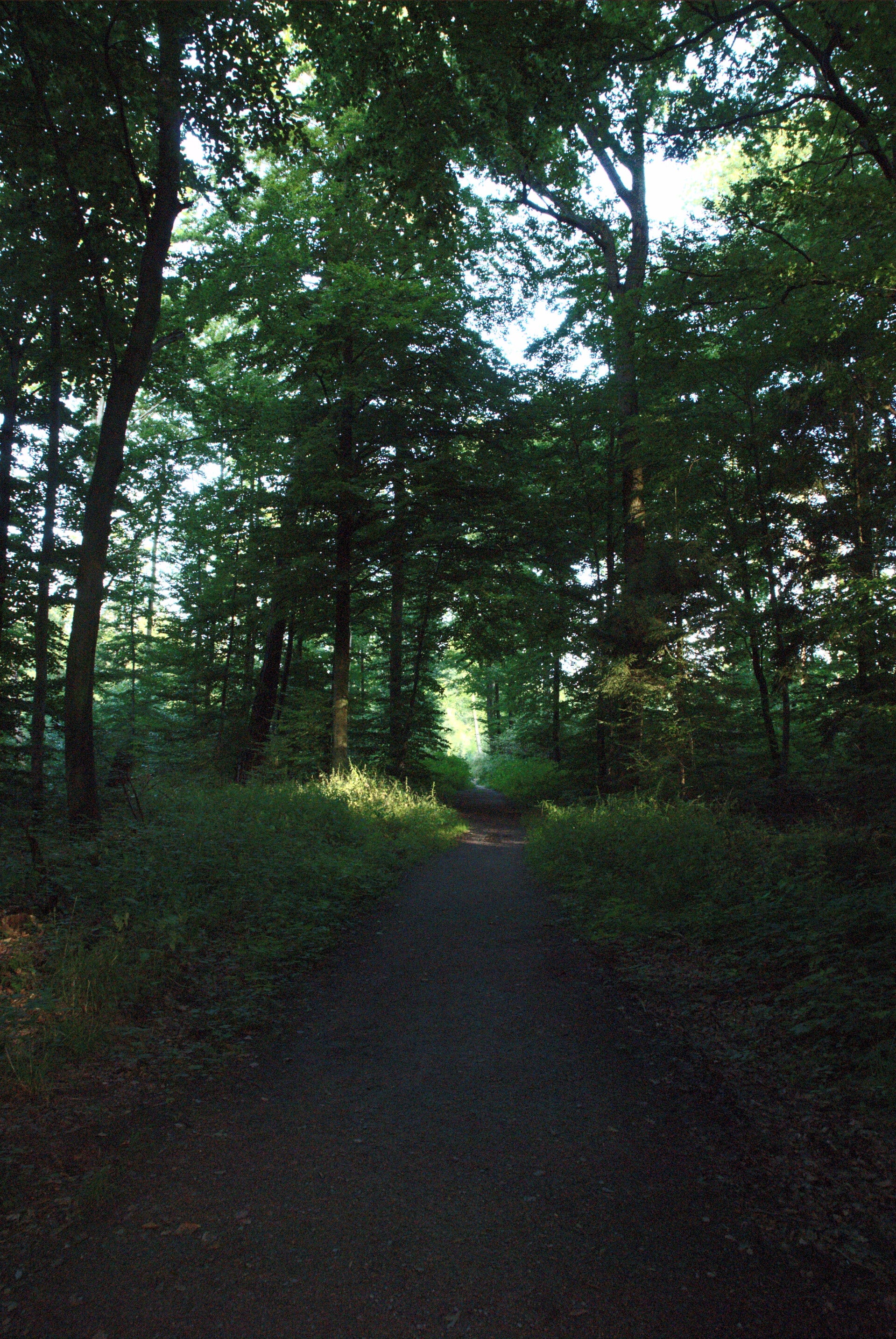 miz_01612.jpg