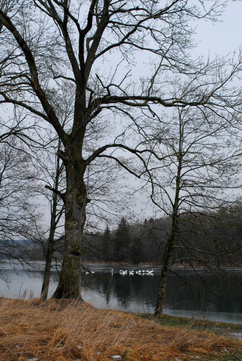 miz_0062-1.jpg