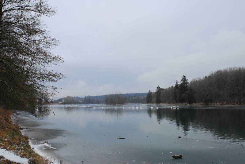 miz_00653-3.jpg
