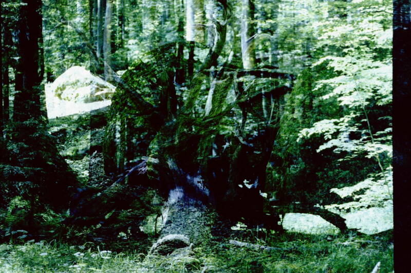 pict00163.jpg