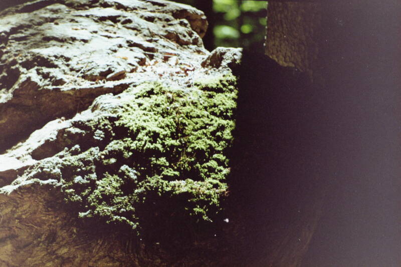 pict00223.jpg