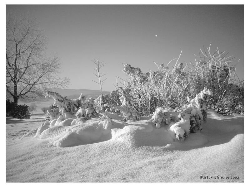 testreihe-winter-1-007-standard.jpg