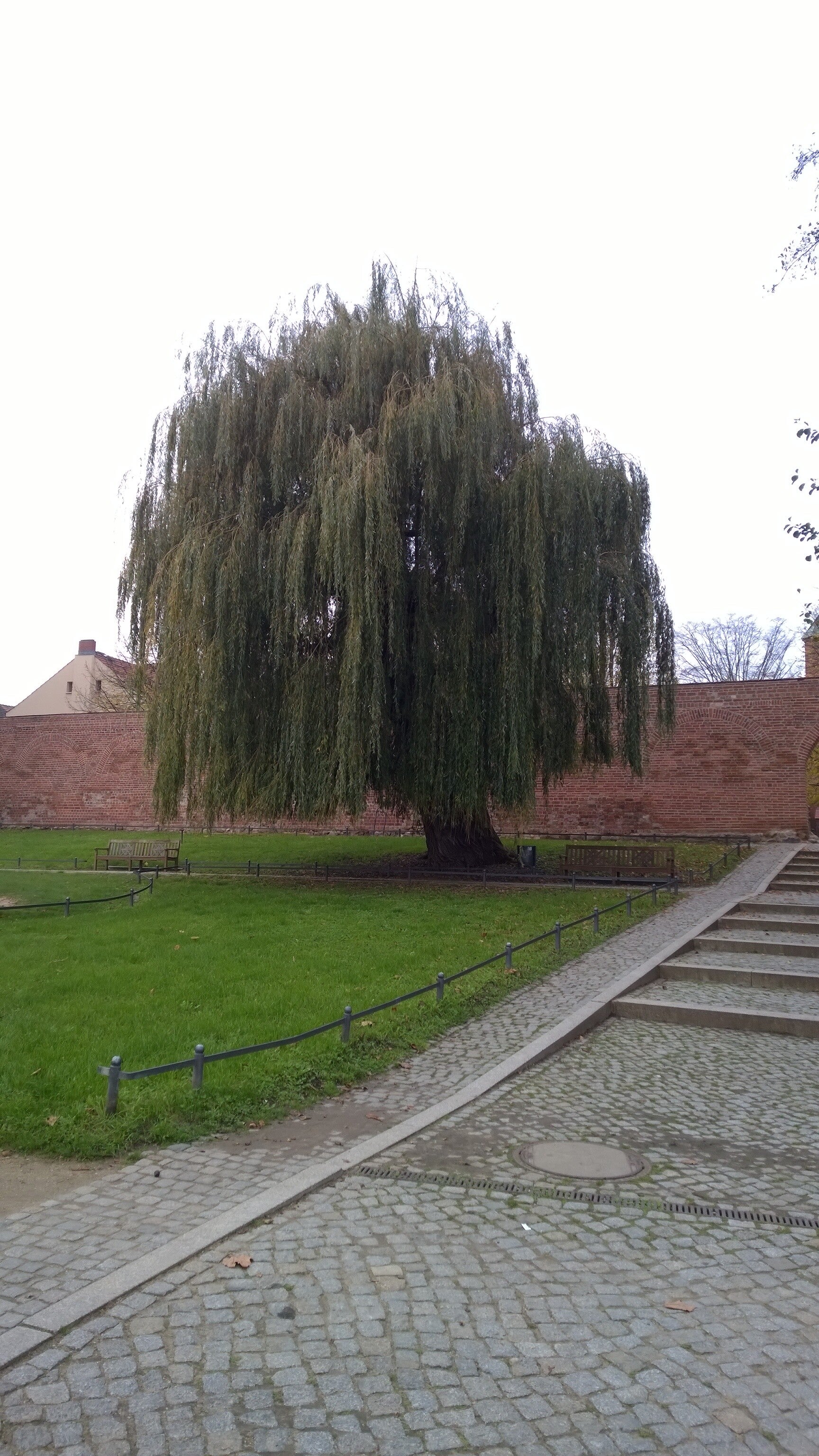 wp_20141031_12_04_55_pro.jpg