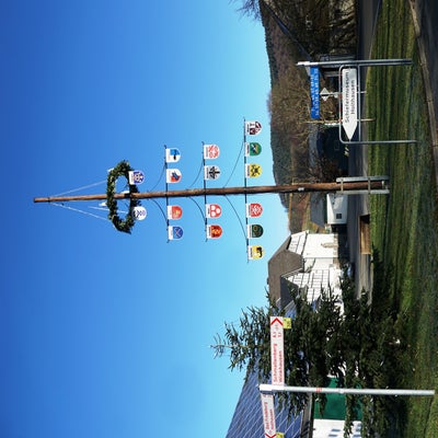 DSC00317-2.jpg