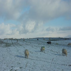 Herenreis2005061.jpg