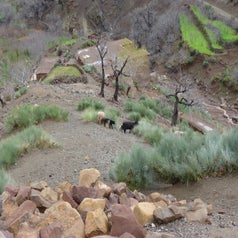 Marokko2009098-1.jpg