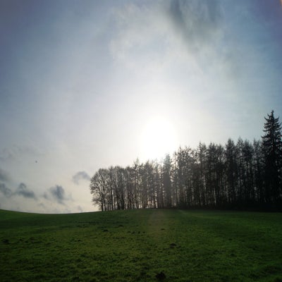 DSC09945-1.jpg