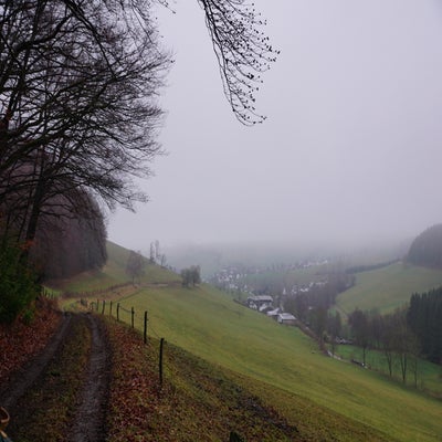 DSC00360-2.jpg