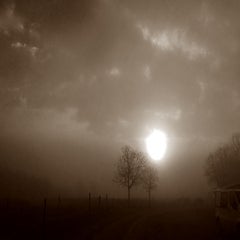 20160105_085508-copie1-standard.jpg