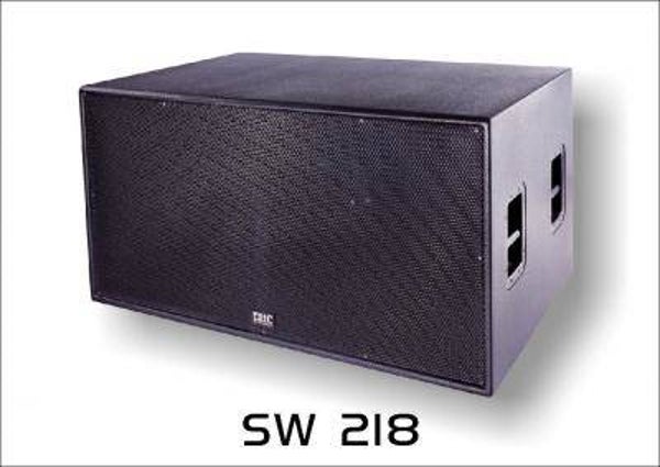 eric audio 12'' sub