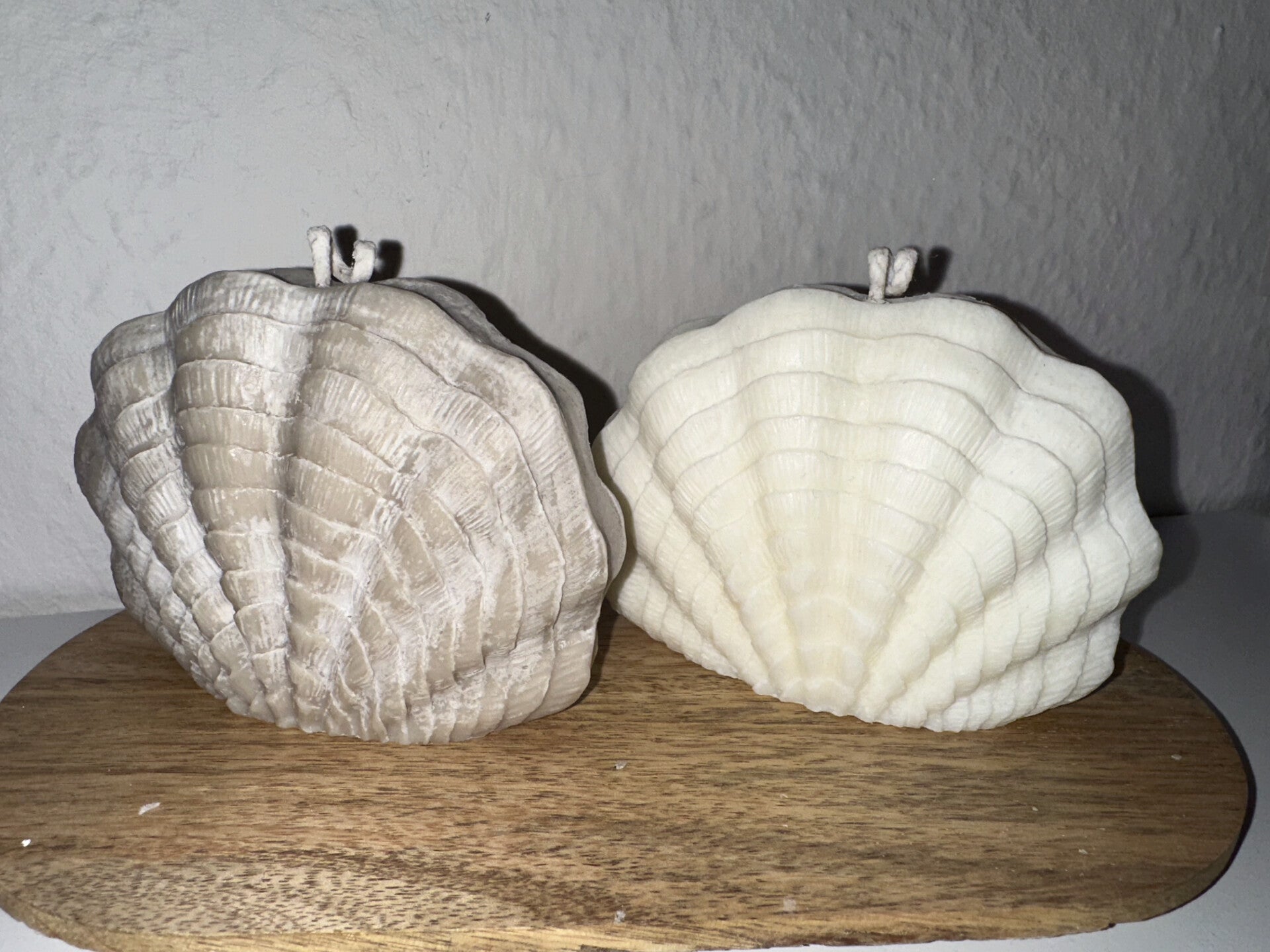 Kerzen " Meerestiere "im Set