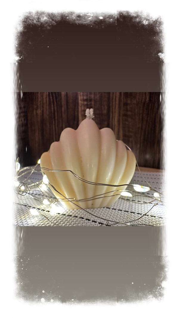 Kerze „ Muschel“ – handgegossen aus Rapswachs, maritim & minimalistisch