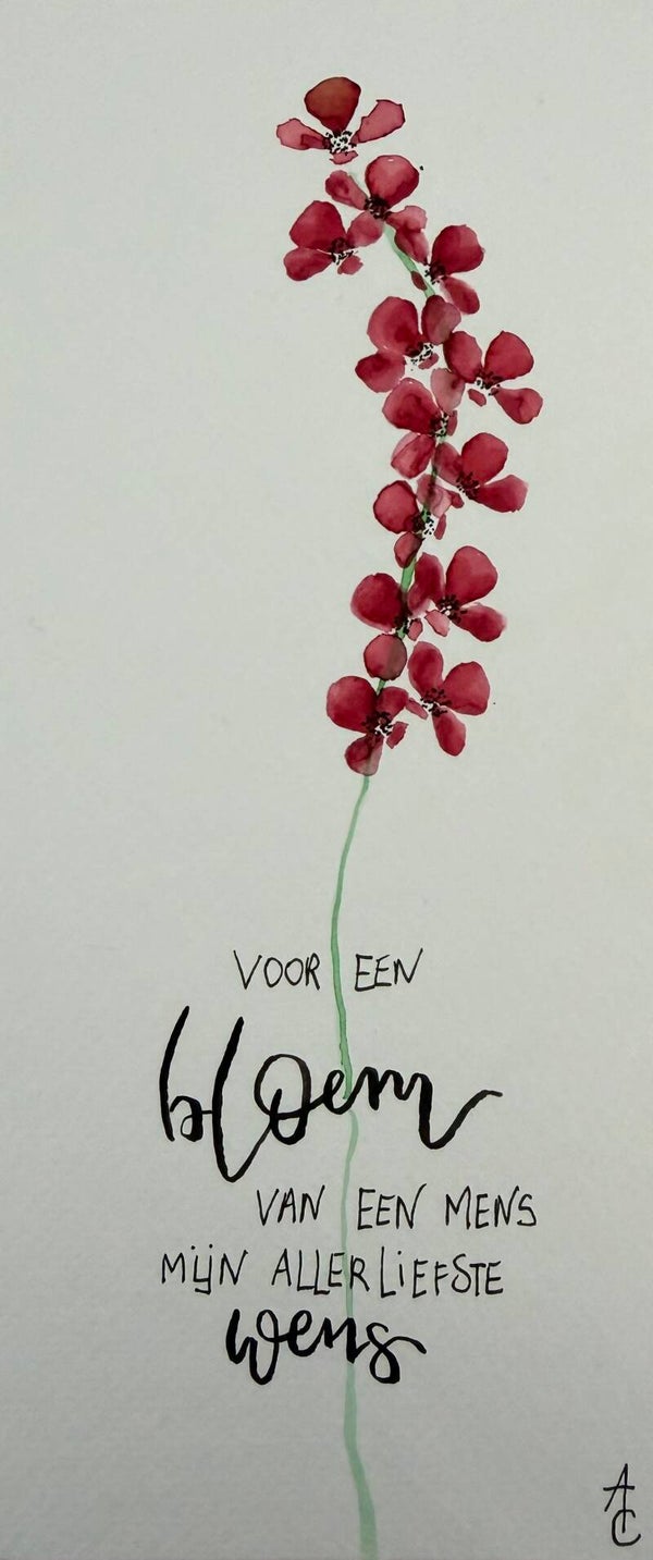 Voor een bloem van een mens mijn allerliefste wens.