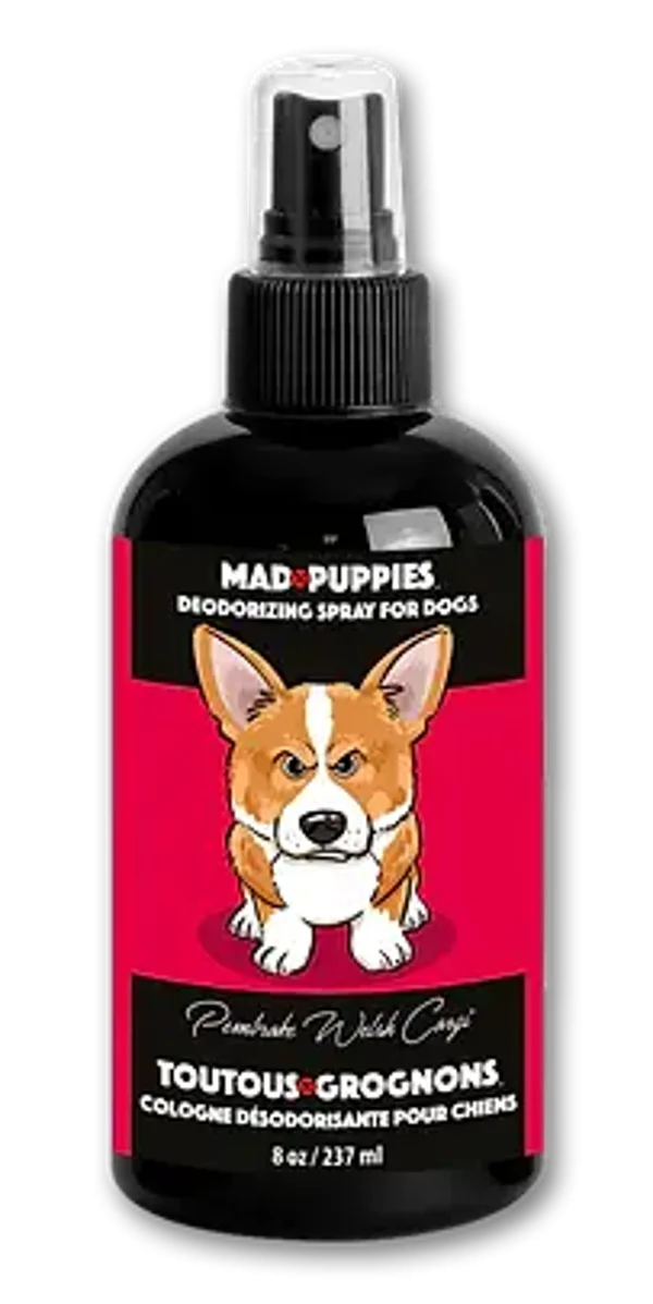 Cologne Démêlante Pembroke Welsh Corgi