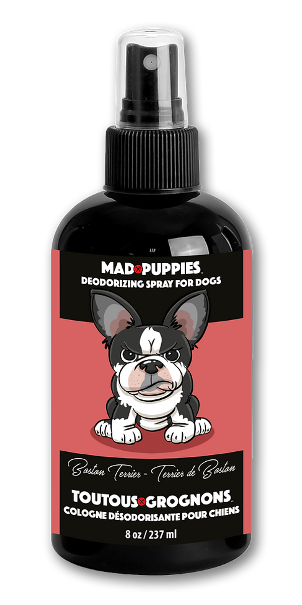 Cologne Démêlante | Boston Terrier