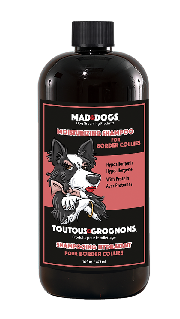 Shampoing Hydratant | Border Collie