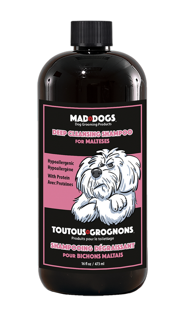 Shampoing Dégraissant | Bichon Maltais