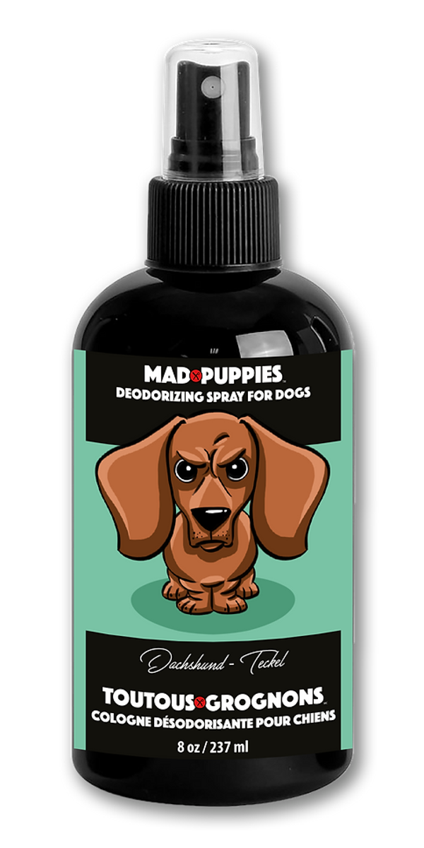 Cologne Démêlante | Dachshund