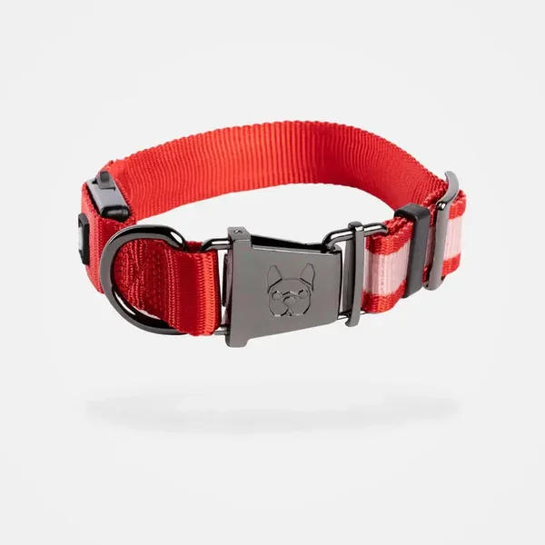 Collier pour chien LED – collier lumineux rechargeable pour la sécurité nocturne (rouge)