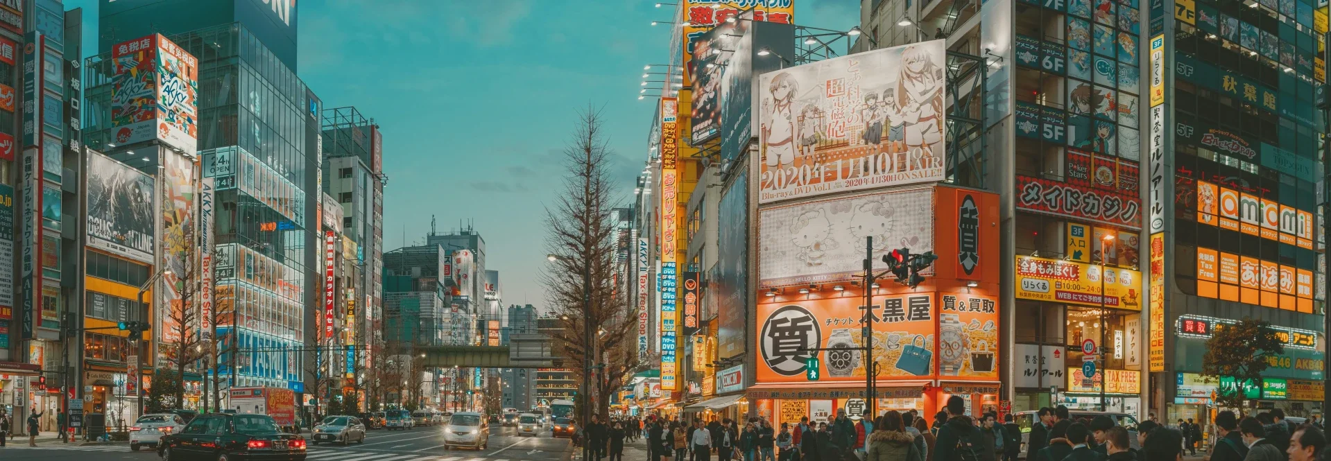 Akihabara street view