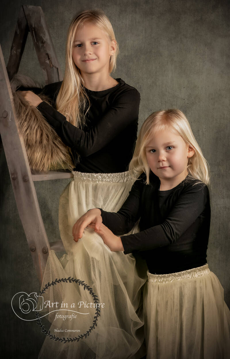 _art_in_the_picture_