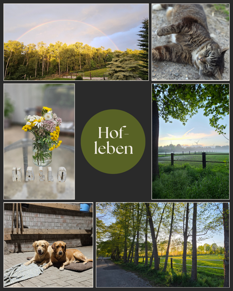 unser-hof-standard.png