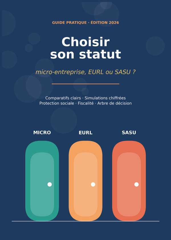 Choisir son statut: micro-entreprise, EURL, SASU?