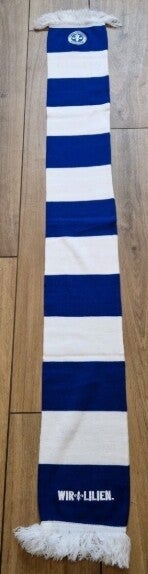 SV Darmstadt 98  Fanschal mit Fransen  Zustand Top ⚽️⚽️⚽️⚽️